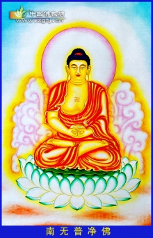 普净佛