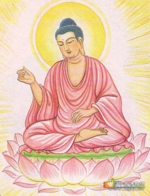 清淨蓮華目如來