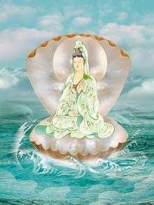 蛤蜊观音
