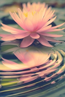 安静也是一种别样的幸福.