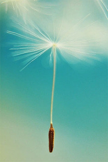 没有命定的不幸，只有死不放手的执着