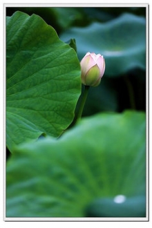 真正的原谅，不是删除记忆