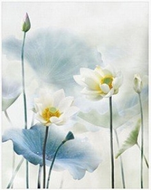 生命中，总有些人，安然而来，静静守候，不离不弃